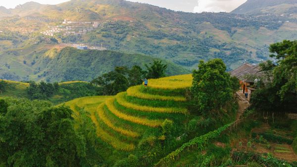 Vietnam Highlights – Sapa, Hanoi, Halong Bay & Da Nang - Destinations