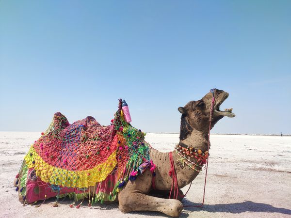 Gujarat With Kutch - Destinations