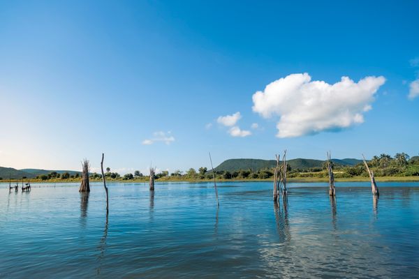 Odisha Highlights Tour – Bhubaneswar, Puri & Chilika Lake - Activity & Sightseeing
