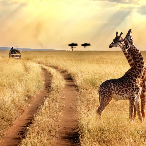 africa travel vista